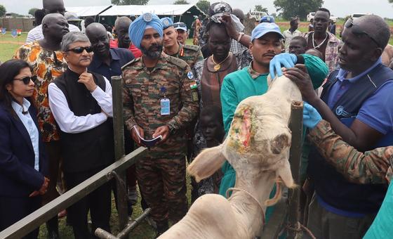 为缓解紧张局势并改善民生，南苏丹特派团印度维和人员在琼莱州开展了兽医诊疗活动，治疗动物疾病，提供预防性护理并免费发放药品。